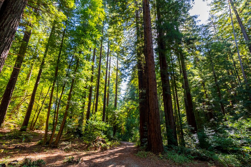 More Photos Of 2372 McKenzie Creek rd, Scotts Valley Land For Sale