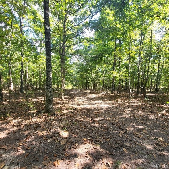 More Photos Of 1710 Ripley 142w-7, Gatewood Land For Sale