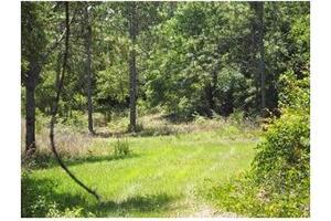 More Photos Of 2001 N Highway 41 Hwy, Inverness Land For Sale