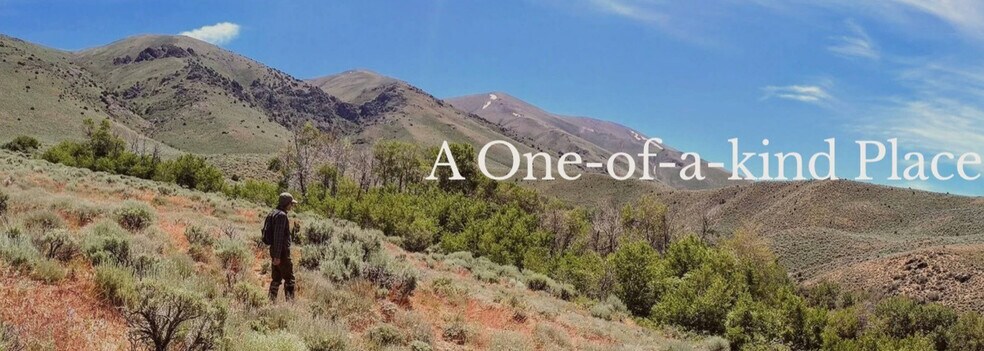 More Photos Of 54705 Grass Valley Rd, Winnemucca Land For Sale