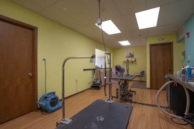 More Photos Of 1126-30 N Maple Ave, La Grange Park Office For Sale