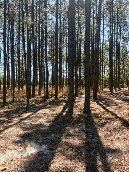 More Photos Of 5324 US 1 Hwy, Vass Land For Sale