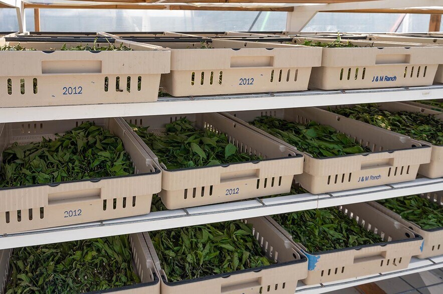 More Photos Of 3510 Walk in Water Rd, Lake Wales Winery Vineyard For Sale