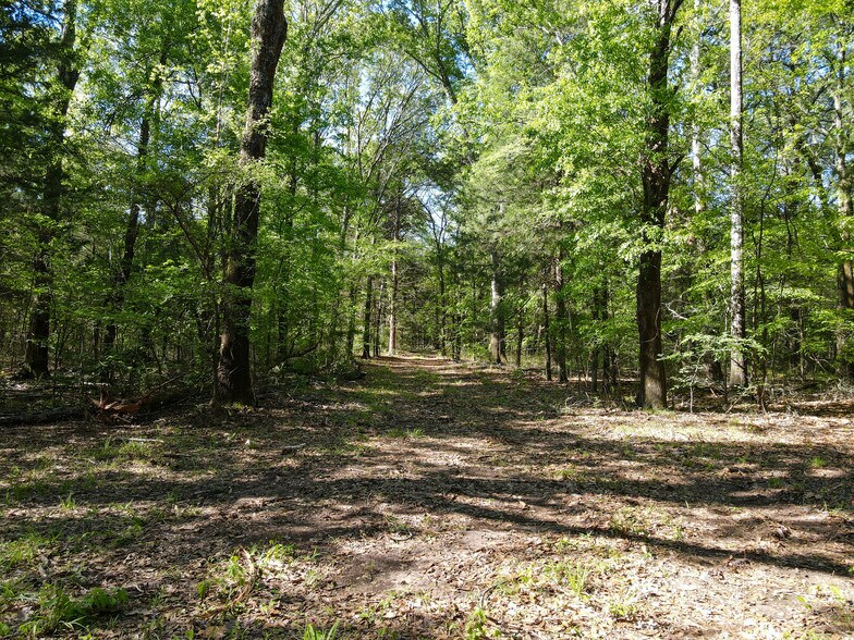 More Photos Of 3842 FM 2029, Telephone Land For Sale