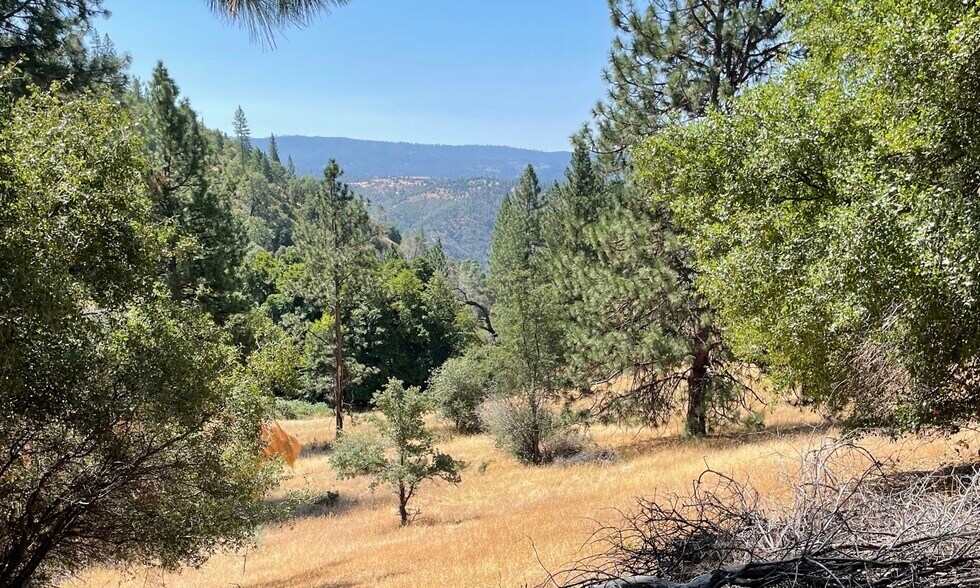 More Photos Of 00000 Forrest Road 1N19, Tuolumne Land For Sale