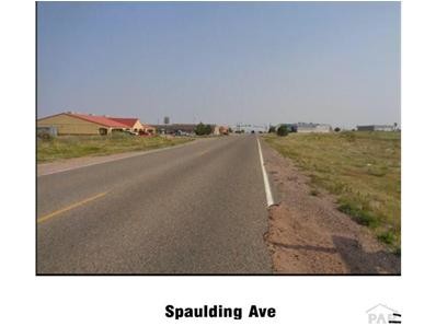More Photos Of 203 S Burlington Dr, Pueblo West Land For Sale