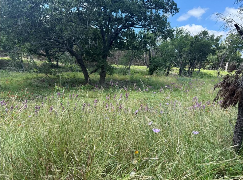 More Photos Of 5150 County Road 254, Bertram Land For Sale