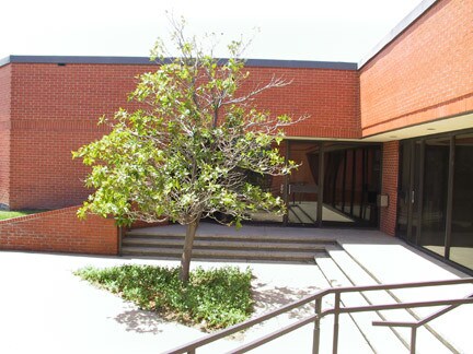 More Photos Of 2505 Lakeview Dr, Amarillo Office For Lease