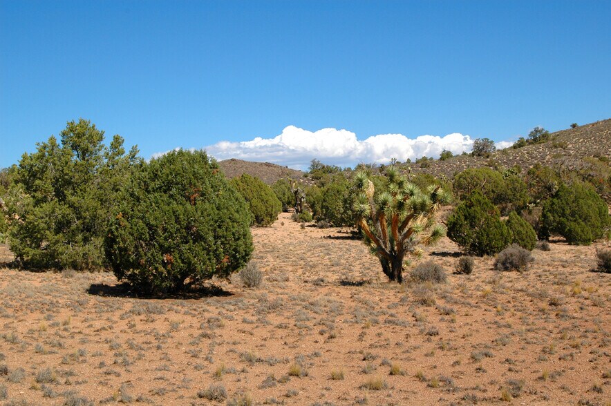 More Photos Of 5838 E Diamond Bar Rd, Meadview Land For Sale