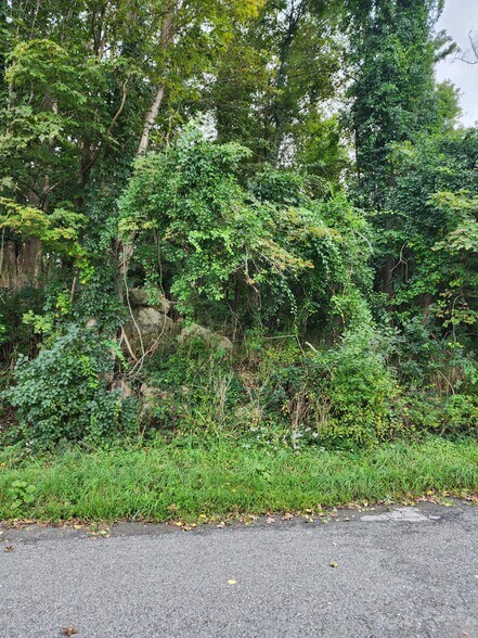 More Photos Of 3810 Danbury Rd, Brewster Village Land For Sale