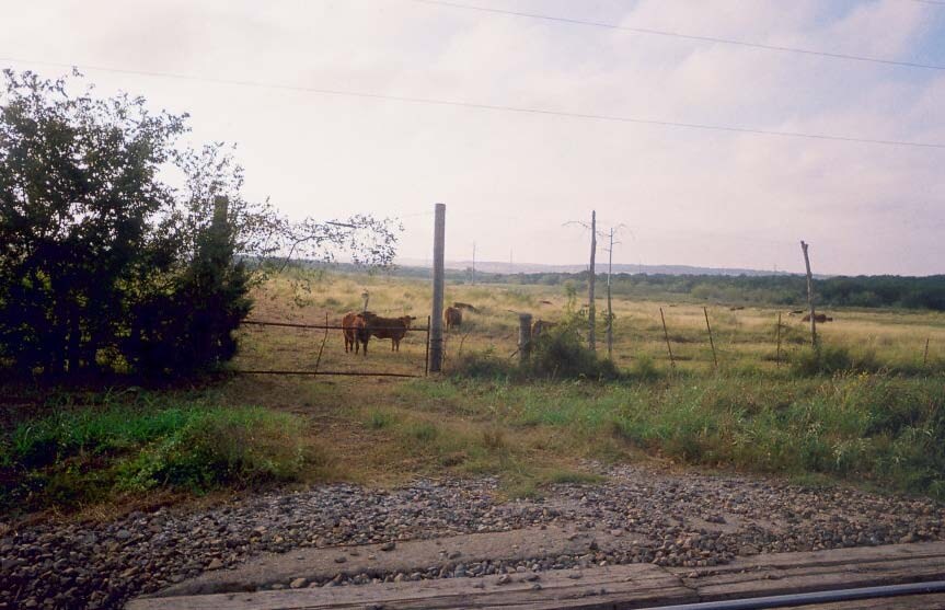More Photos Of IH - 35 and Woods Path, New Braunfels Land For Sale