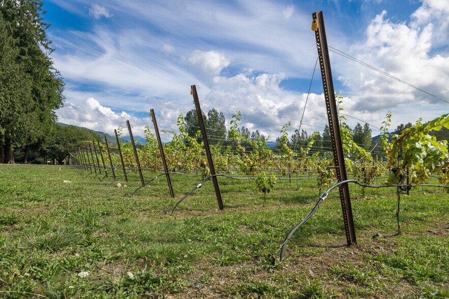 More Photos Of 4290 Mt Baker hwy, Everson Winery Vineyard For Sale