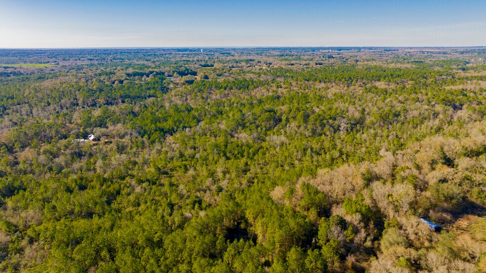 More Photos Of 12960 County Road 48, Silverhill Land For Sale