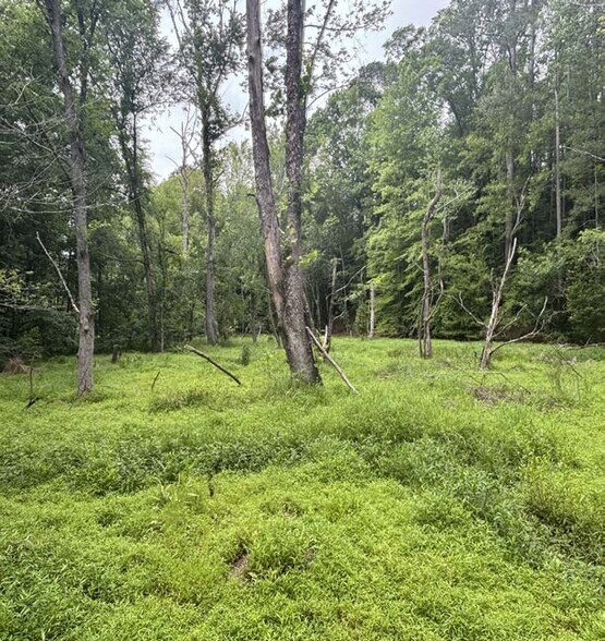 Primary Photo Of 1087 Bobby Faucette Rd, Jonesville Land For Sale