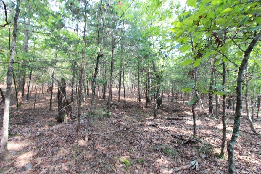 More Photos Of 226 Blythe rd, Greenbrier Land For Sale