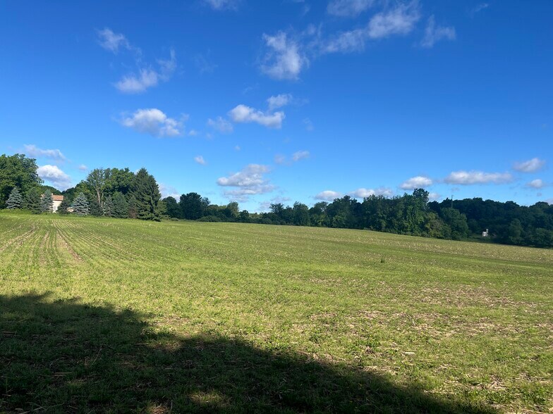 More Photos Of Fahrner Rd, Chelsea Land For Sale