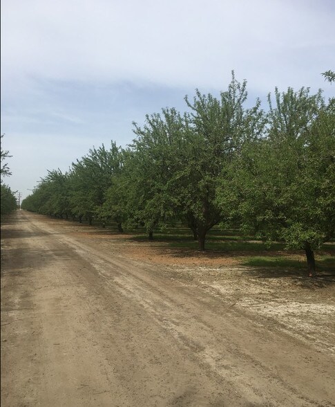 Primary Photo Of 4032 W Inyo Ave, Tulare Land For Sale