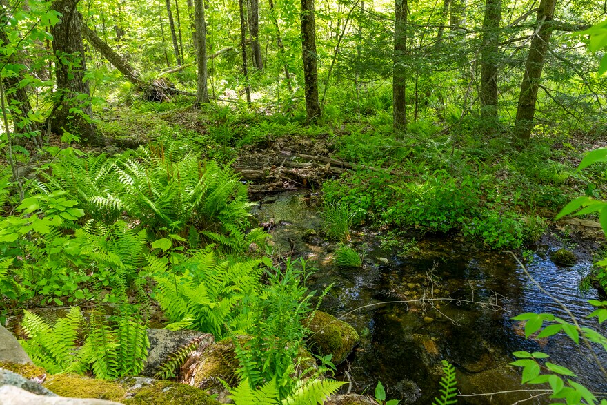 More Photos Of 13 Dew Rd, Barkhamsted Land For Sale