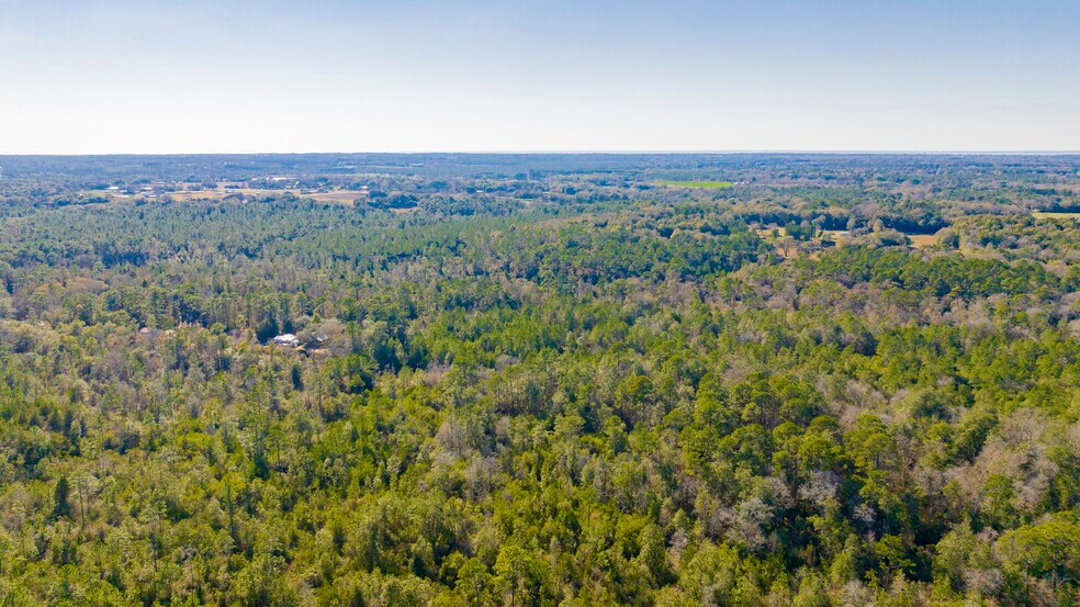 More Photos Of 12960 County Road 48, Silverhill Land For Sale