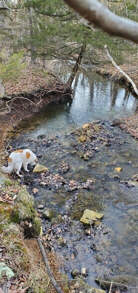 More Photos Of 4775 S 50th St, Aldrich Land For Sale