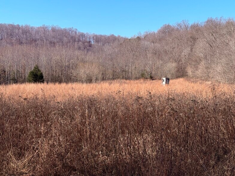 More Photos Of 4604 Summersville Rd, Campbellsville Land For Sale