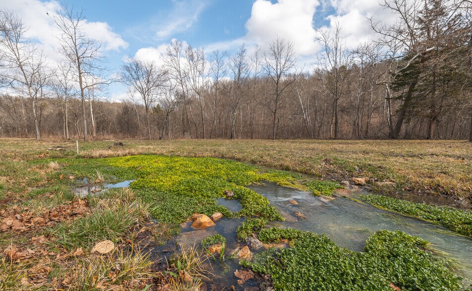 More Photos Of 3385 County Road 5615, Bunker Land For Sale