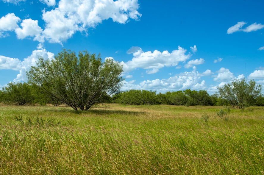 More Photos Of Las Brisas Road, Rio Grande City Land For Sale