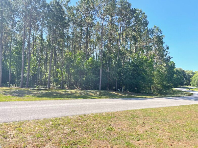 More Photos Of 31004 Secretariat Trl, Leesburg Land For Sale