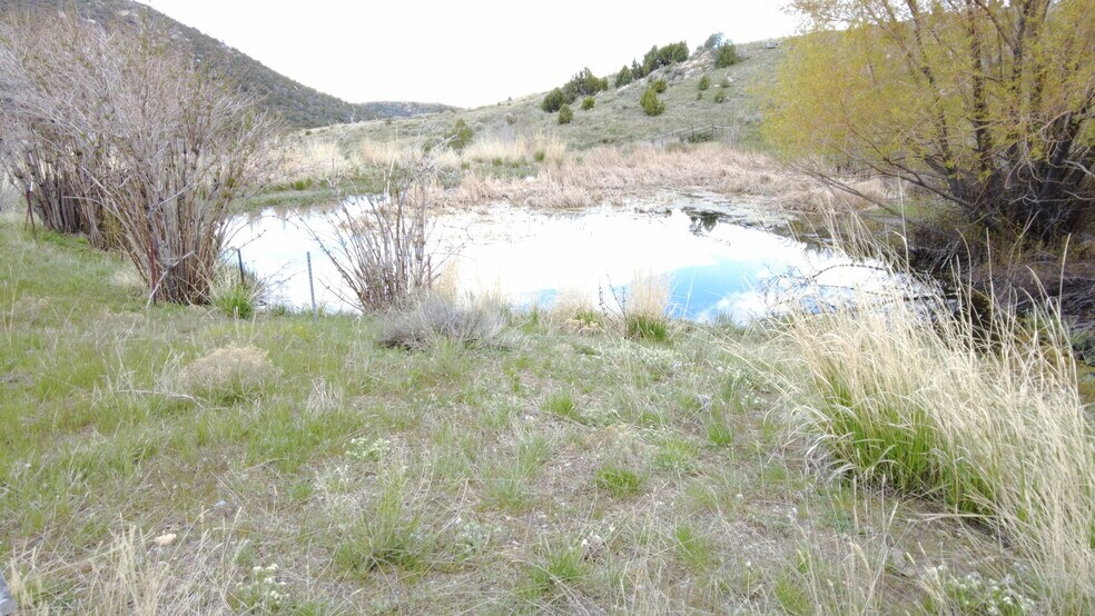 More Photos Of Clear Springs Rd., Park Valley Land For Sale