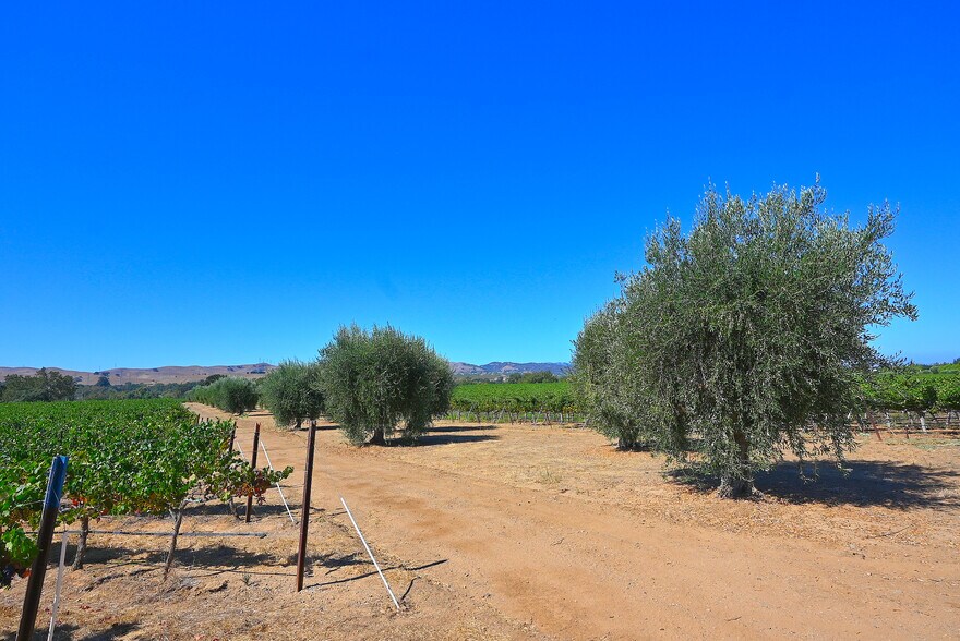 More Photos Of Arroyo Rd, Livermore Land For Sale