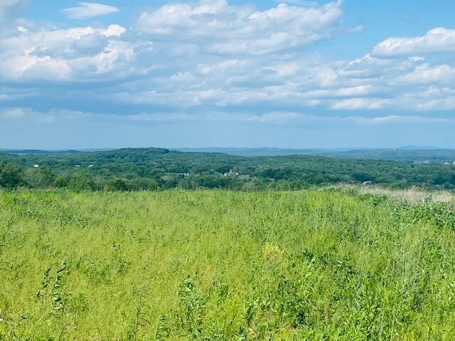 More Photos Of 00 Clarks Lane, Milton Land For Sale