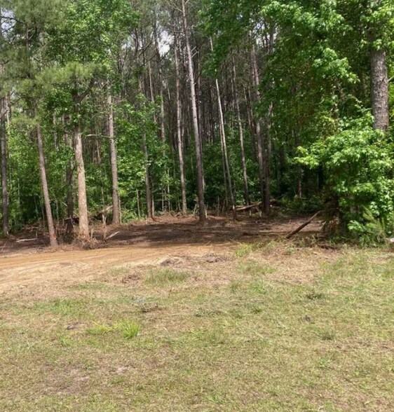 Primary Photo Of 421 HWY & 210 Hwy, Currie Land For Sale