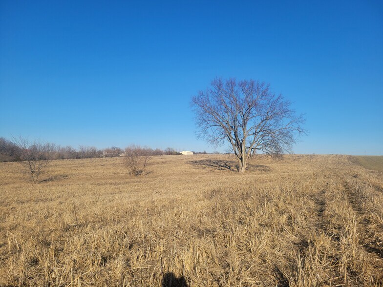 More Photos Of 171 Windy Hill Rd. (20+/- Acres), Elsberry Land For Sale