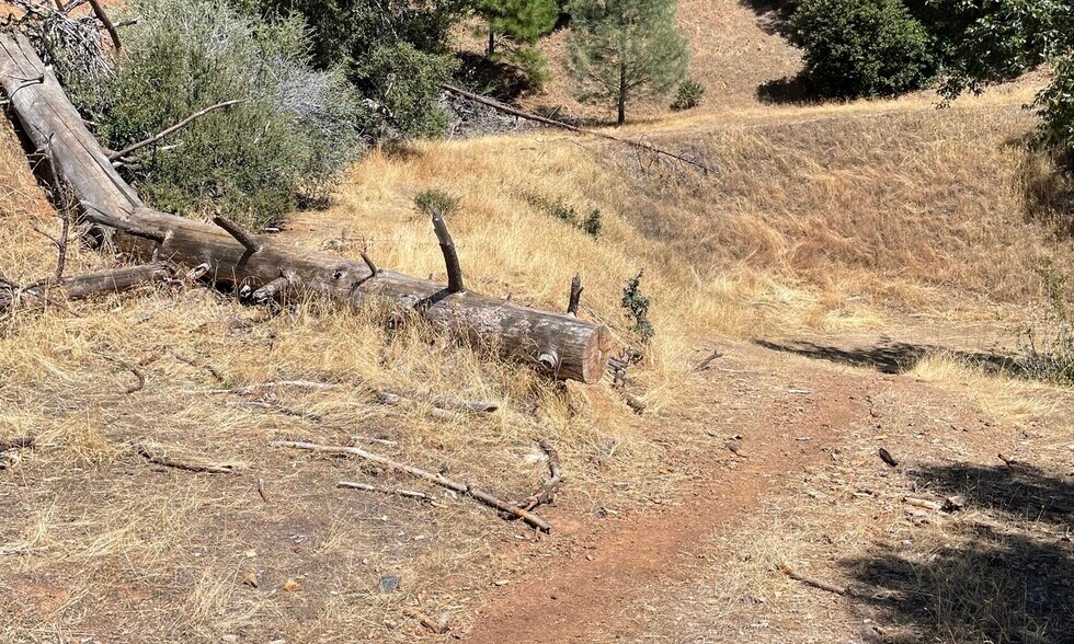 More Photos Of 00000 Forrest Road 1N19, Tuolumne Land For Sale