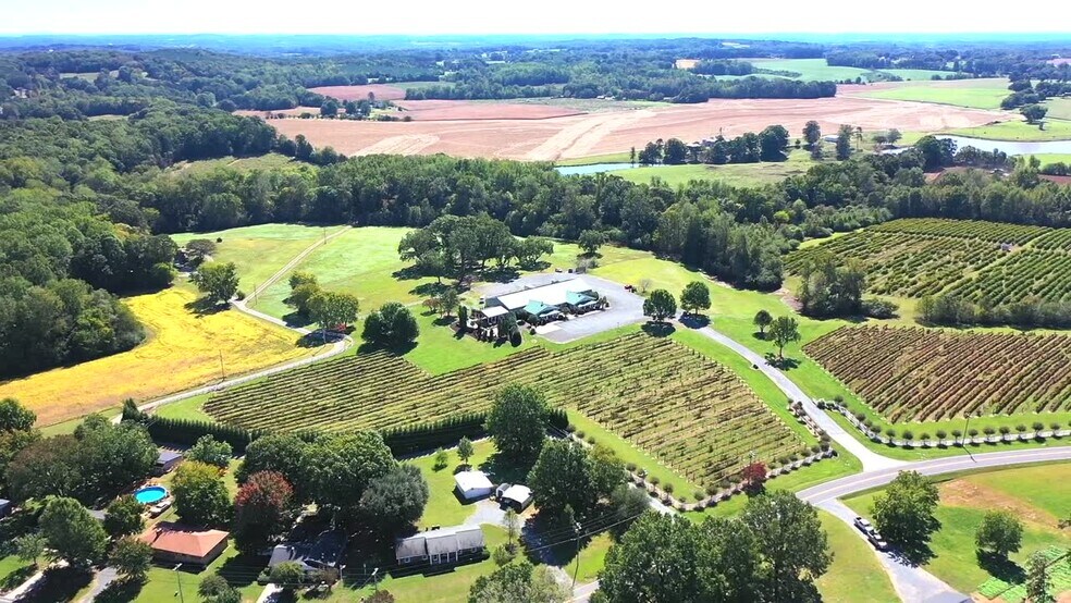 Primary Photo Of 28030 Austin Rd, Albemarle Winery Vineyard For Sale