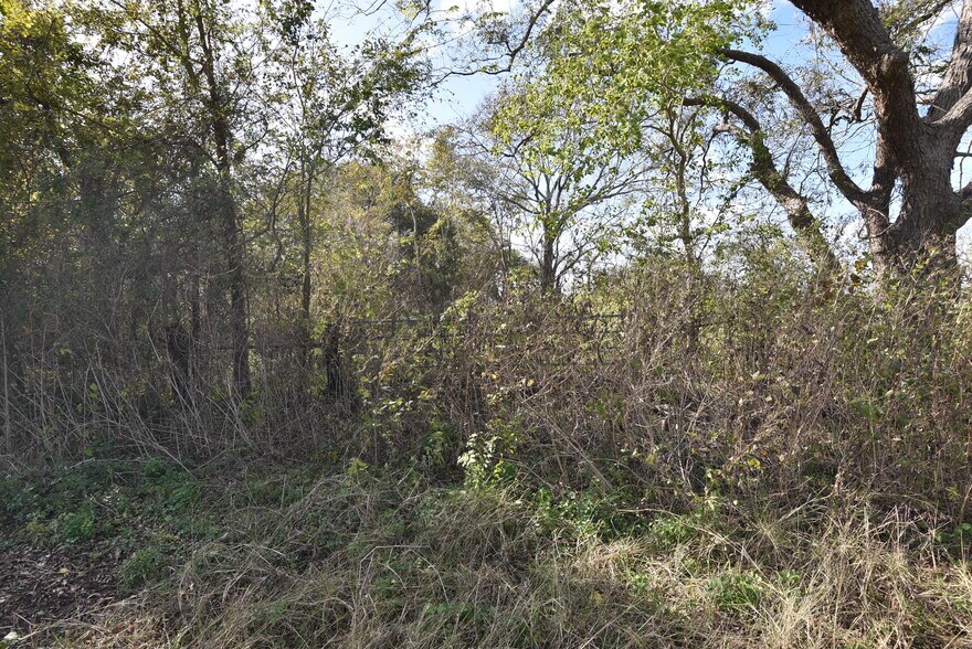 More Photos Of 201 County Road 224, Wharton Land For Sale