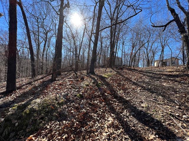 More Photos Of 450630 S Old Mill Road, Afton Trailer Camper Park For Sale