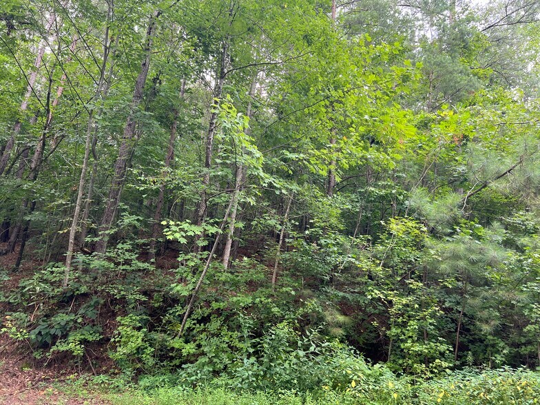 More Photos Of Pinyan, Ranger Land For Sale