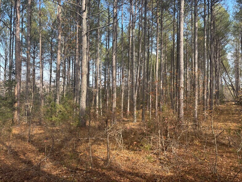 More Photos Of Oak Tree Dr, Honea Path Land For Sale