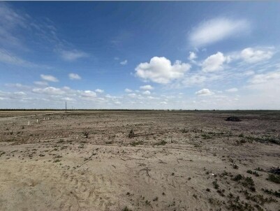 Primary Photo Of 1 W Rose Ave, Caruthers Land For Sale