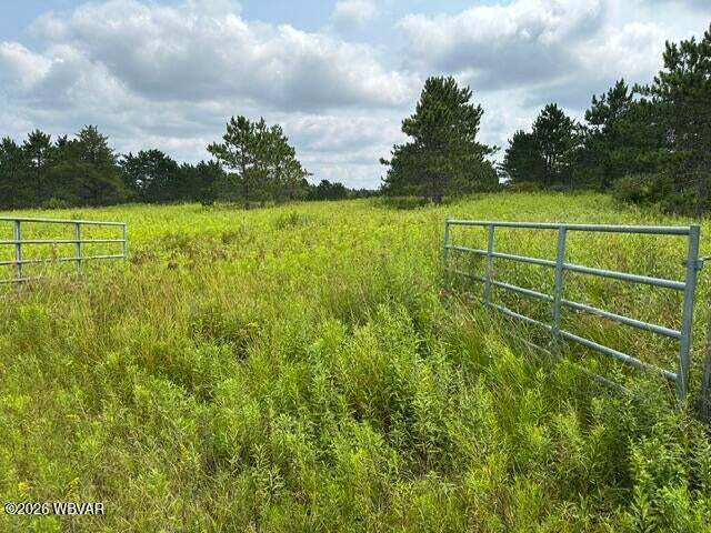 More Photos Of Beech Creek Mountain Rd, Beech Creek Land For Sale