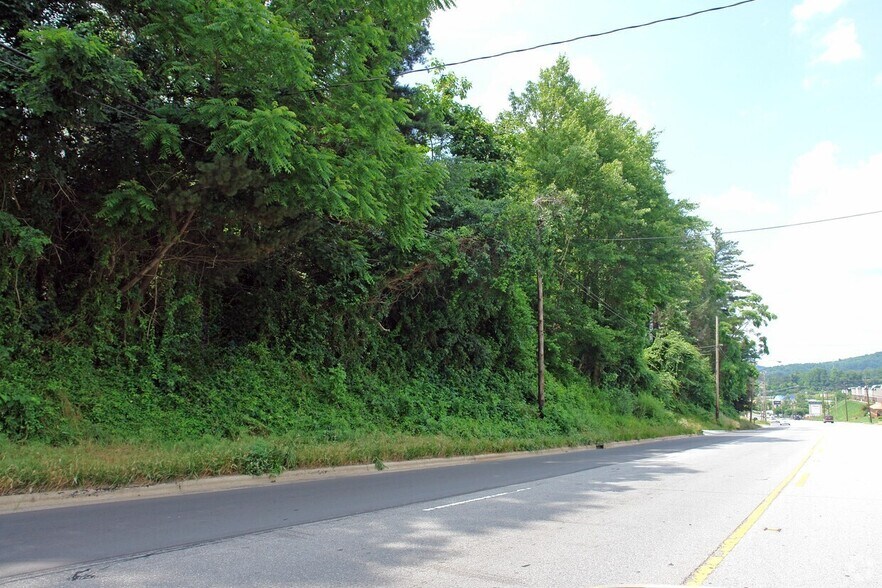 Primary Photo Of 1935 Hendersonville Rd, Asheville Land For Sale