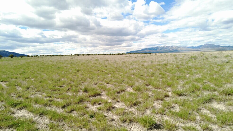 More Photos Of Clear Springs Rd., Park Valley Land For Sale