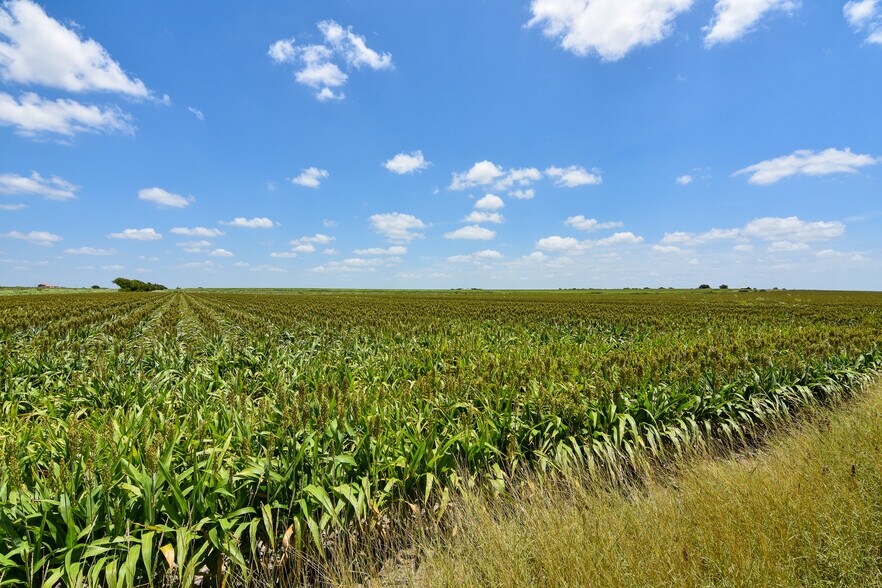 More Photos Of 0 Becker Lane, Del Valle Land For Sale