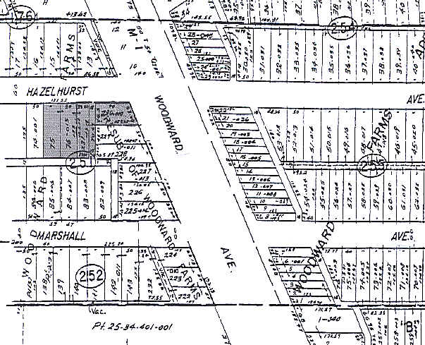 More Photos Of 22061 Woodward Ave, Ferndale Freestanding For Lease