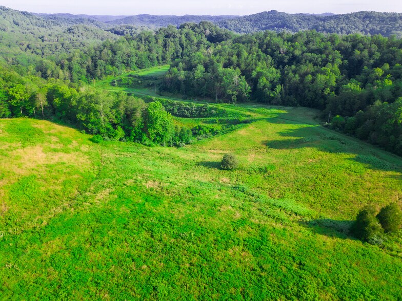 More Photos Of 3071 Ky Route 40 W, Staffordsville Land For Sale