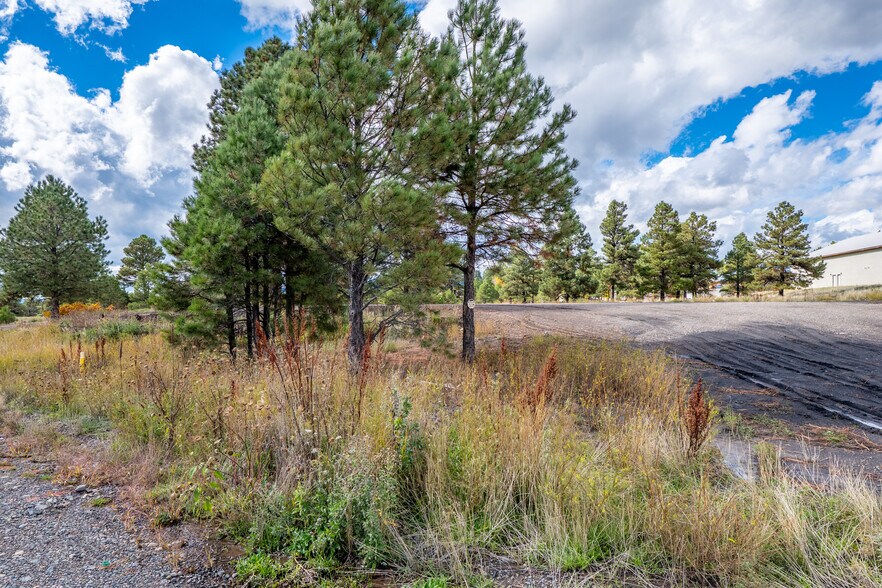More Photos Of 555 Bastille Drive, Pagosa Springs Land For Sale