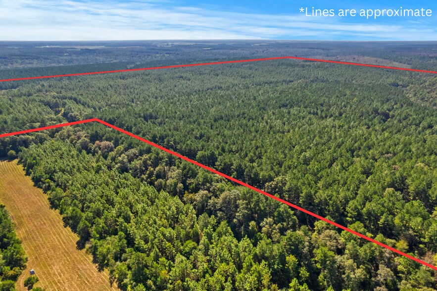 More Photos Of 0 Nokomis Road, Walnut Hill Land For Sale