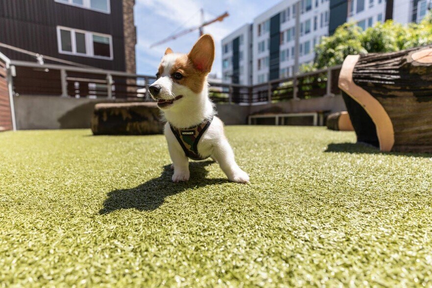 More Photos Of 1280 Harrison St, Seattle Apartments For Lease