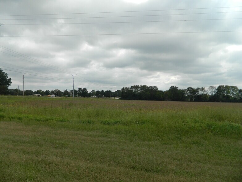 More Photos Of Highway 72, Tuscumbia Land For Sale